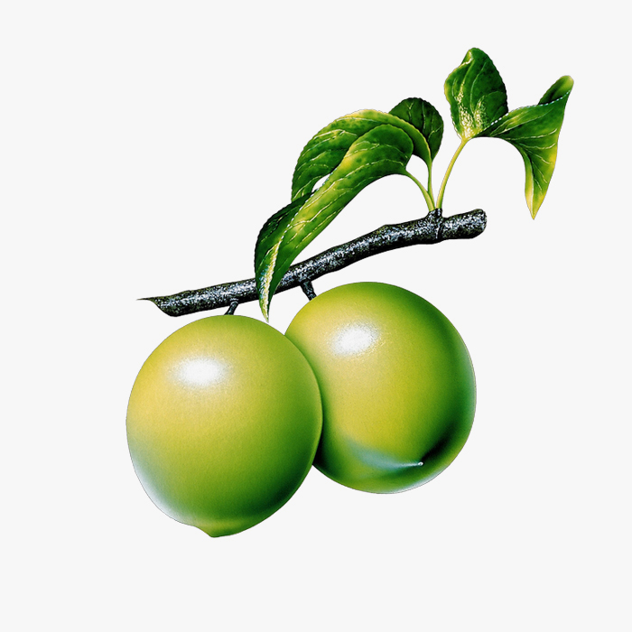 Printed chiffon default