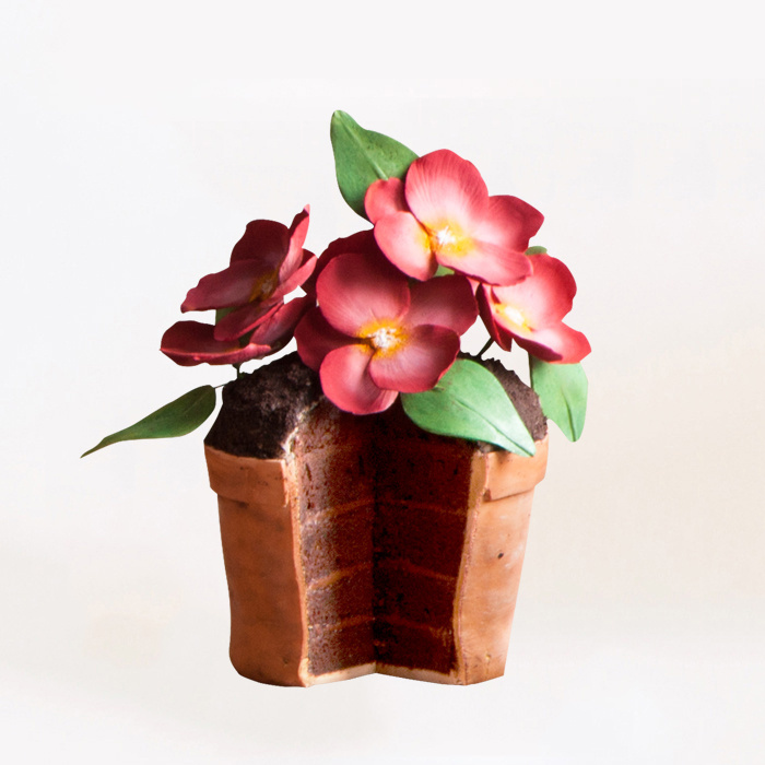 Donec nec justo eget felis