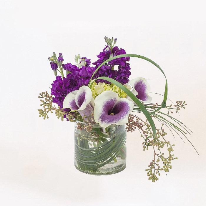 Consectetuer adipiscing .