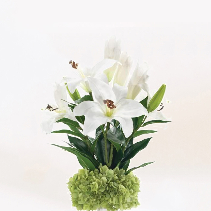 Donec nec justo eget felis